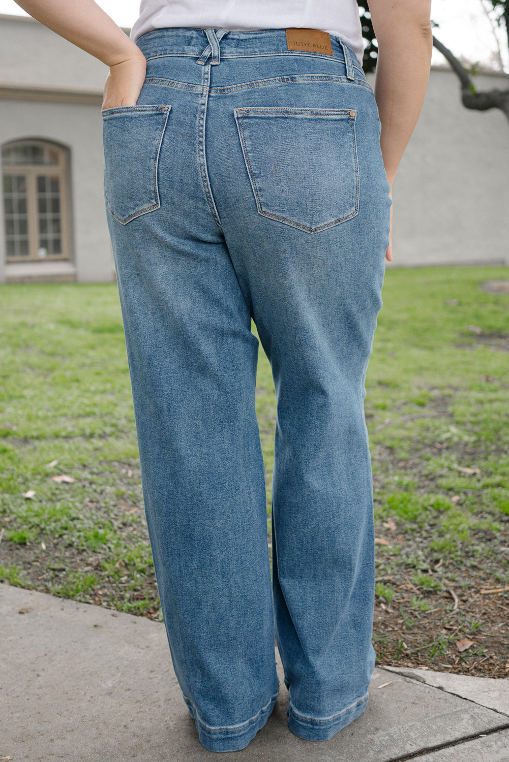 Eliza High Rise Wide Legs with Starry Flair - PLUS - Image 6