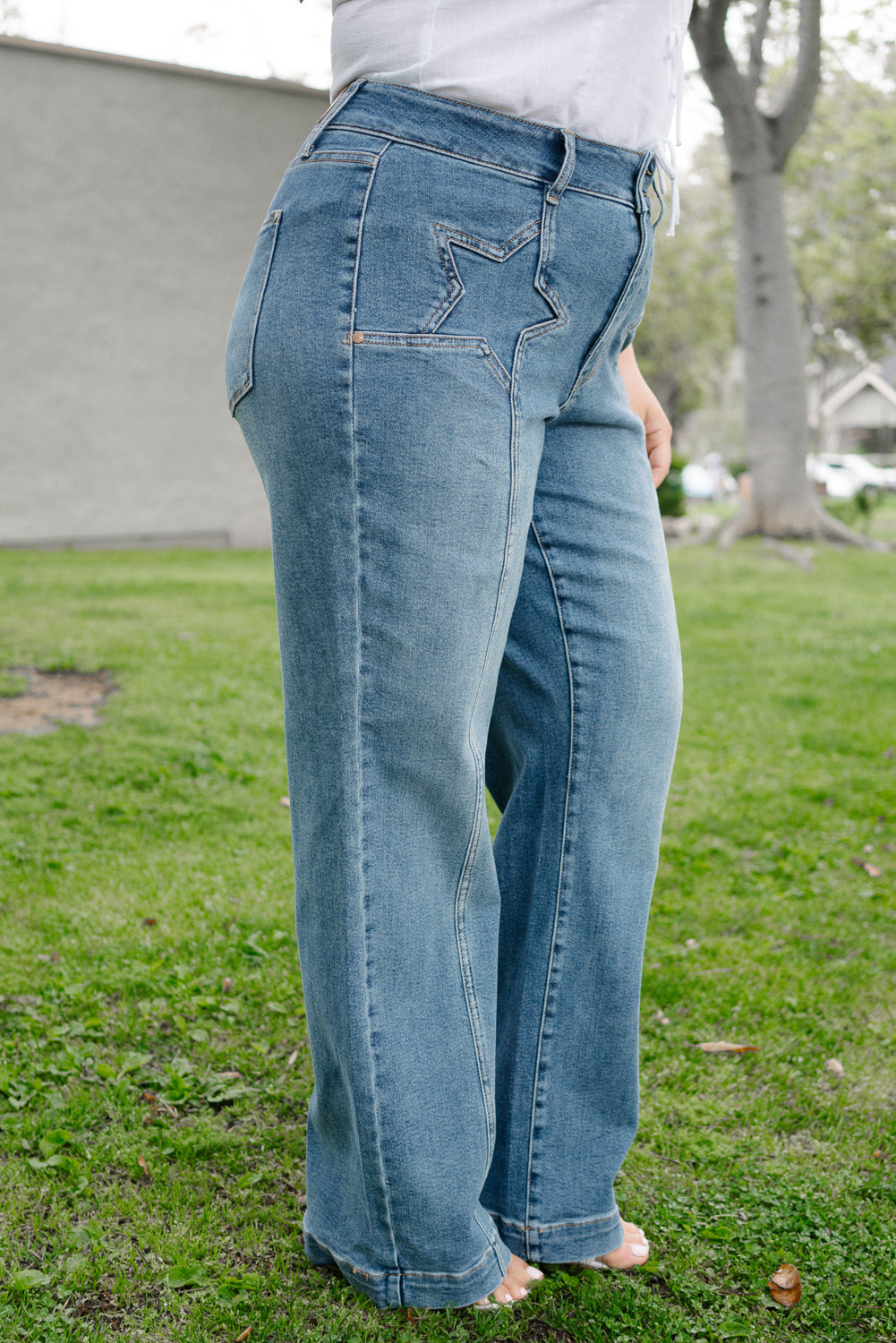 Eliza High Rise Wide Legs with Starry Flair - PLUS - Image 5